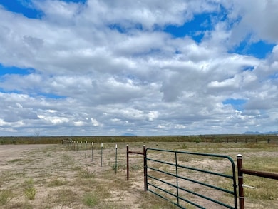 1006 N Summer St, Marfa, TX 79843 - photo 2