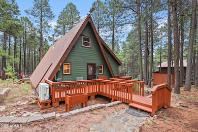 Modified A-Frame w/ Metal Roof