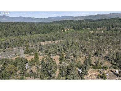 168 Krauss Ln, Cave Junction, OR 97523 - photo 3