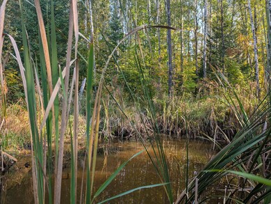 N2060 Meridian Rd, Prentice, WI 54556 - photo 4