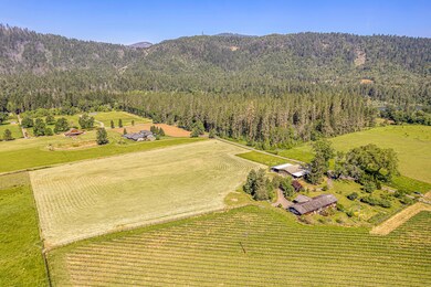 Drone Photo of Property