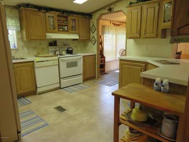 Kitchen View 1
