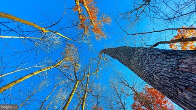 K3 Indian Trail Rd, Luray, VA 22835 - photo 2