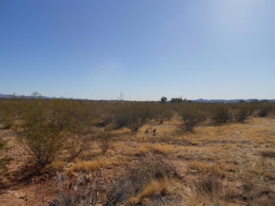 21025 W Date Creek Rd unit 11A, Wickenburg, AZ 85390 - photo 4