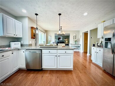 4806 Kelly Ave, Rootstown, OH 44272 - photo 3