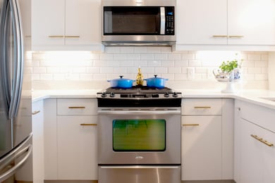 Gas Stove