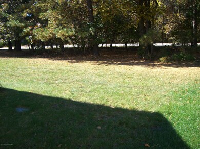 20 Amherst Road - Back Yard