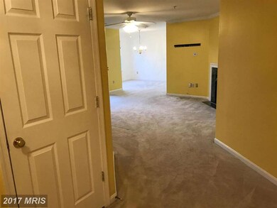 8805 Stoneridge Cir unit 203, Pikesville, MD 21208 - photo 5