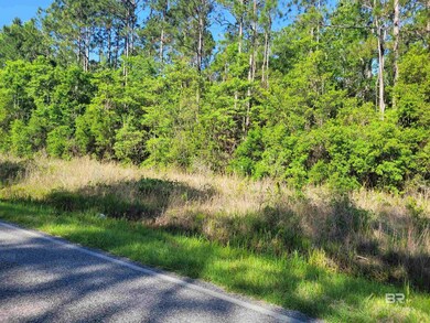 0 Bellingrath Rd unit 374430, Theodore, AL 36582 - photo 6