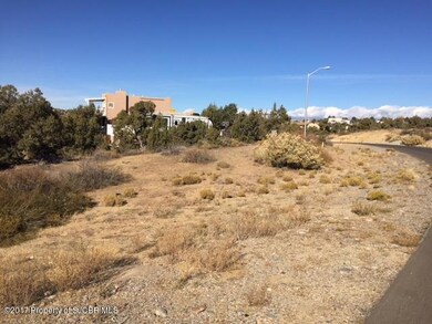 14A Las Brisas Trail, Farmington, NM 87402 - photo 3