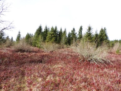 14 Brenda Ln SE, Yelm, WA 98597 - photo 3