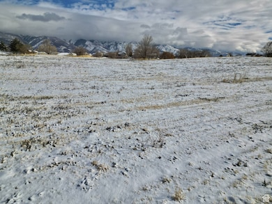 3600 N Fairfield Rd E unit 2, Layton, UT 84040 - photo 5