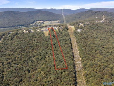 14 Watson Grande Way SE, Owens Cross Roads, AL 35763 - photo 7