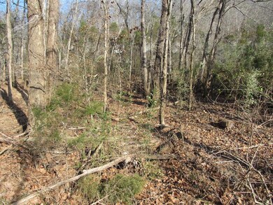 0 Dailey Loop unit 1796769, Linden, TN 37096 - photo 6