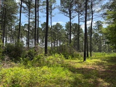 182 Hwy 44, Tylertown, MS 39641 - photo 7