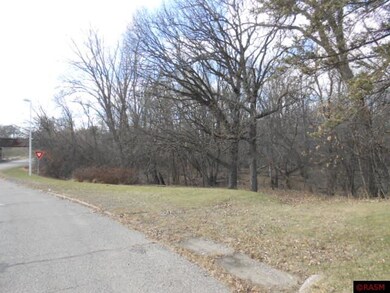 0 W 1st St unit 7004164, Blue Earth, MN 56013 - photo 3