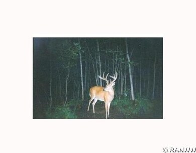 2151 Timberland Trail, Ingram, WI 54526 - photo 3