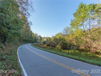 651 Starnes Cove Rd, Asheville, NC 28806 - photo 3