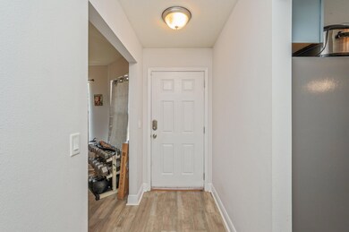 5-web-or-mls-6229-flash-ln