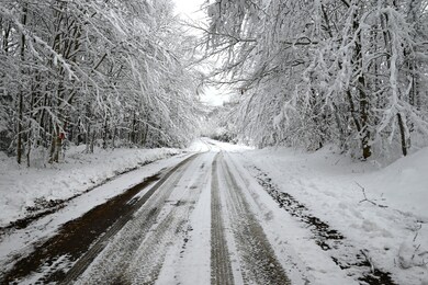 0 Walkerville Rd, Brandon, NY 12966 - photo 5