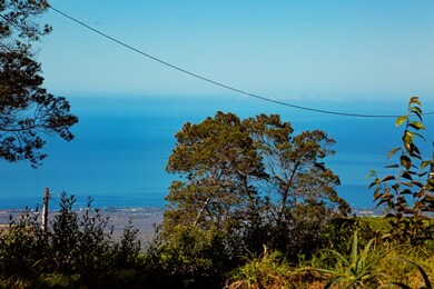 18 Nana Pono Place, Kula, HI 96790 - photo 4