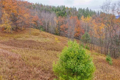 21 Dugway Rd, Richmond, VT 05477 - photo 6