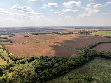 0 Capp Rd, Clyde Township, IL 61270 - photo 5