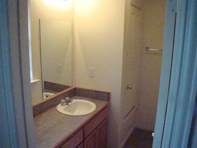 200 Blue Bell Ct, Weatherford, TX 76088 - photo 6