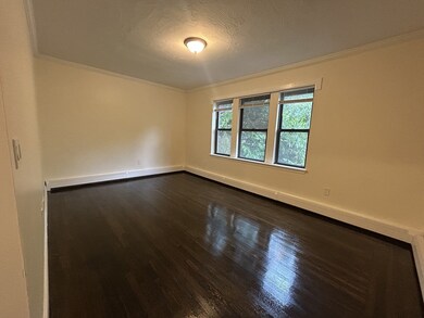 435 Walnut Ave unit 6, Roxbury, MA 02119 - photo 4