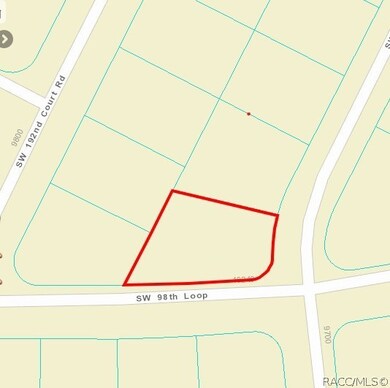 12013 SW 98th Loop, Dunnellon, FL 34432 - photo 6