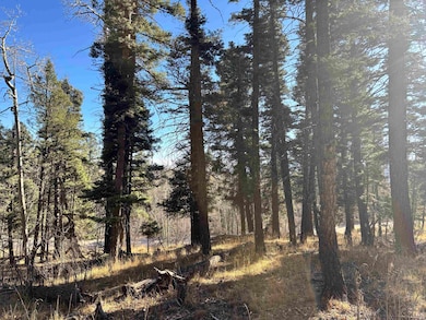 Lot 1490 Royal Ave, Angel Fire, NM 87710 - photo 3