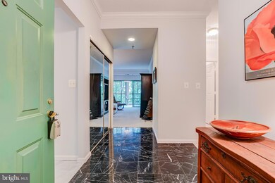 3005 S Leisure World Blvd unit 817, Silver Spring, MD 20906 - photo 3