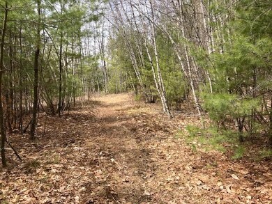 0 New Settlement Rd, Hiram, ME 04041 - photo 7