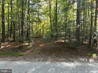 00 Old Camp Rd, Lanexa, VA 23089 - photo 7