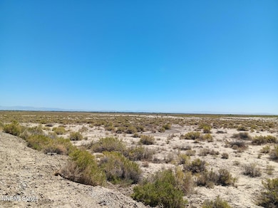 APN 007-091-71 Casey Rd, Fallon, NV 89406 - photo 2