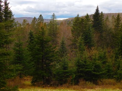 17 Hoyt Run, Stewartstown, NH 03576 - photo 4