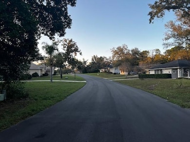 1 Graytwig Ct W, Homosassa, FL 34446 - photo 2