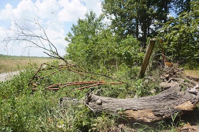 000 Stokes Rd, Bald Knob, AR 72010 - photo 3