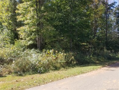 106 Wildeman Trail, Statesville, NC 28625 - photo 3