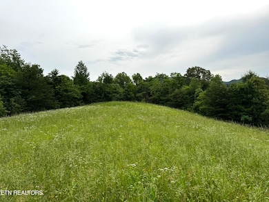 0 Licklog Hollow Rd, Sevierville, TN 37876 - photo 6