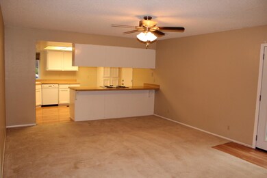 Living Area Kitchen
