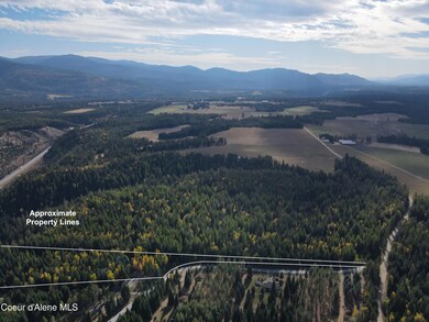 Aerial with Approx Property Lines