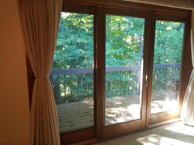 View of Wooded Area