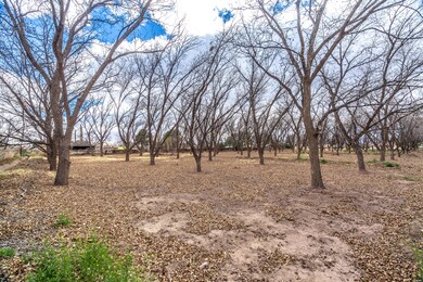 300 Riverside Dr, El Paso, TX 79915 - photo 6