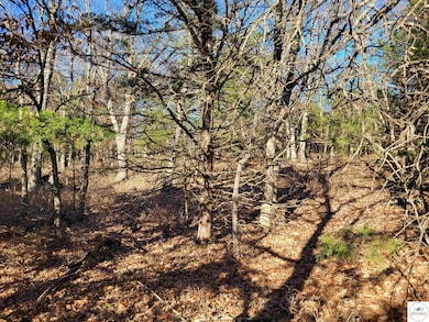 0 Wolcott Cir unit Lot 3823,3824 & 391, Union Township, MO 65326 - photo 3