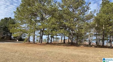 Lot 9 County Road 70, Thorsby, AL 35171 - photo 7