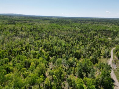 DJI_0005