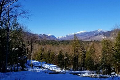 36 Partridge Dr, Woodstock, NH 03262 - photo 2