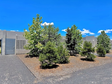 43435 Ranch To Market Road 2810 unit 4, Marfa, TX 79843 - photo 7