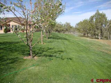 0 Road North 6 Loop unit 665164, Cortez, CO 81321 - photo 4